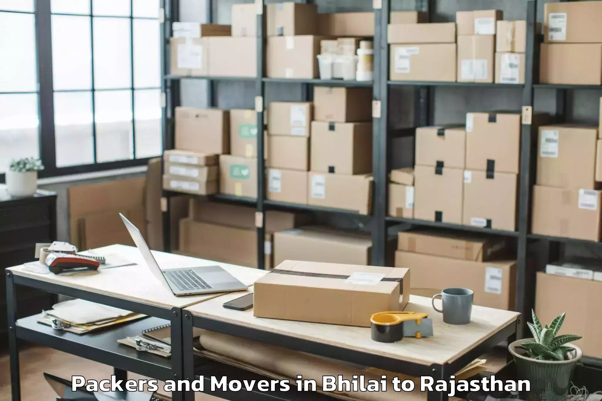 Professional Bhilai to Bundi Packers And Movers